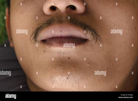 Close Up Asian Male Mustache Stock Photo Alamy