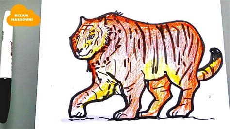 Apprendre A Dessiner Un Tigre Comment Dessiner Un Tigre Petit Images