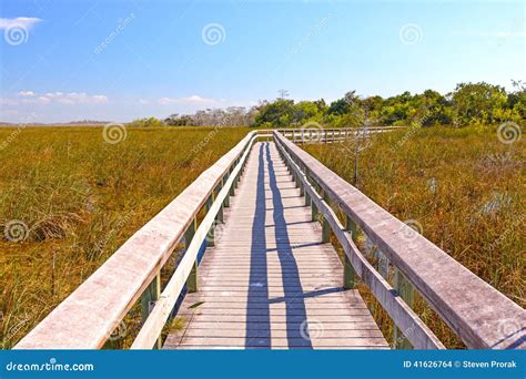 Boardwalk Through A Wetland Marsh Stock Photo Image Of Biome Habitat