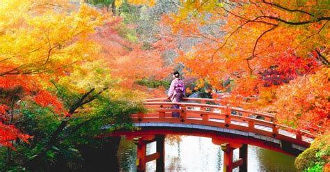 Japan Fall Foliage Forecast 2019 — Where To See Autumn