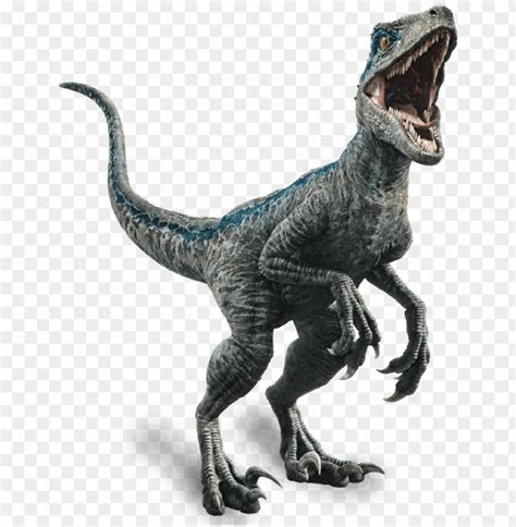 Fallen Kingdom Blue The Velociraptor By Sonichedgehog2 Dc80trd Blue Jurassic World Png