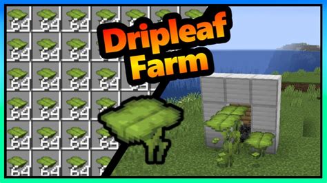 Minecraft Drip Leaf Farm 300 Minute 120 121 Youtube