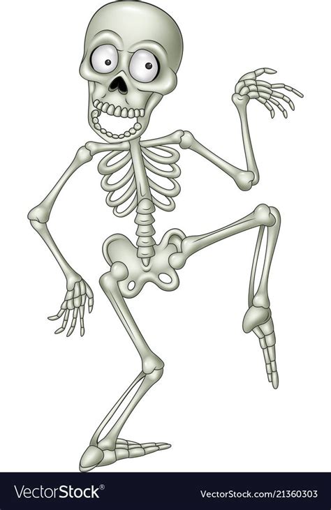 Cartoon Skeletom Yahoo Image Search Results In 2023 Skeleton