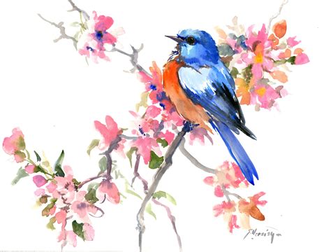 Spring Bluebird And Sakura Blossom By Suren Nersisyan Watercolor