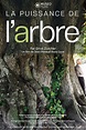 La Puissance de l’arbre avec Ernst Zürcher (película 2020) - Tráiler ...