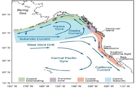 Charting Climate Change On The Central Coast