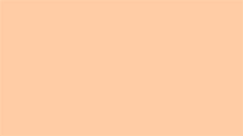 Deep Peach Solid Color Background Wallpaper 5120x2880