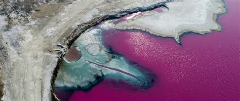 Upside Down Houses Ces And Pink Lakes The Best Images In Science For January Bbc Science