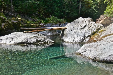 Olympic Peninsula Hikes Guides And Updates Staircase Step Up Into