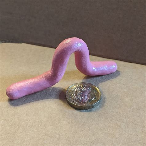 Cute Clay Worms Etsy