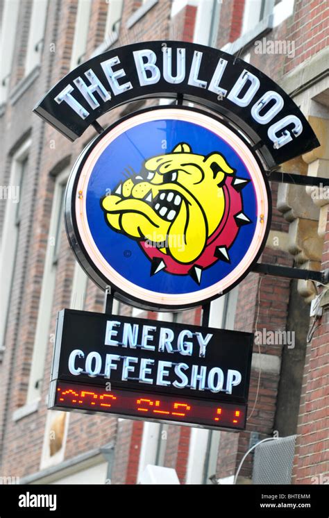 Amsterdam The Bulldog Coffee Shop Amsterdam Holland Netherlands