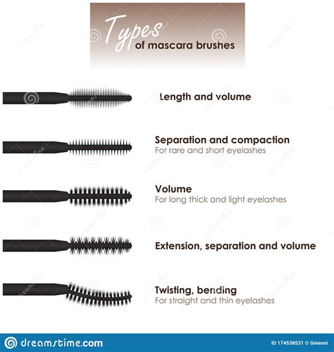 Types Of Mascara Brushes With A Description Of The Purpose Mascara