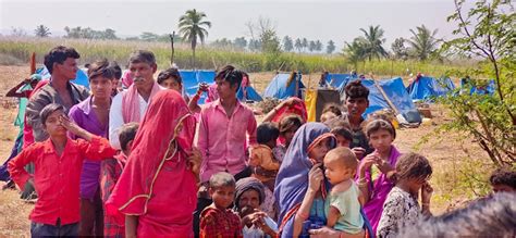 Bonded Labour 250 Madhya Pradesh Migrants Rescued Govt Response Evasive