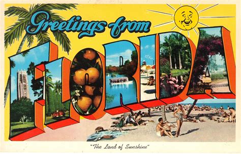 Vintage Florida Postcard Large Letter Postcard Land Of