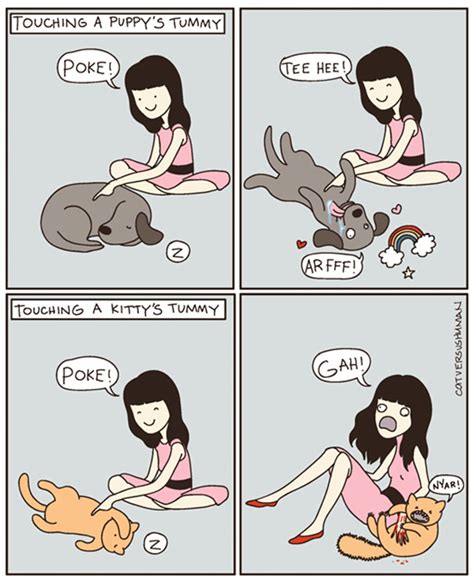 113 Hilarious Comics That Perfectly Capture Life With Cats
