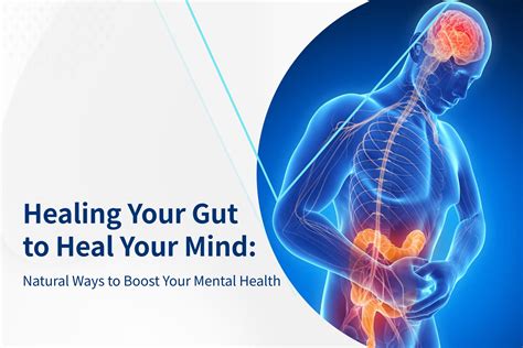 The Gut Brain Connection Impact On Mental Health