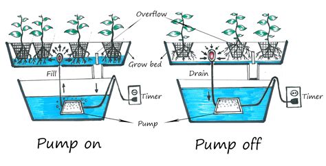 Hydroponic Passion Ebb And Flow System