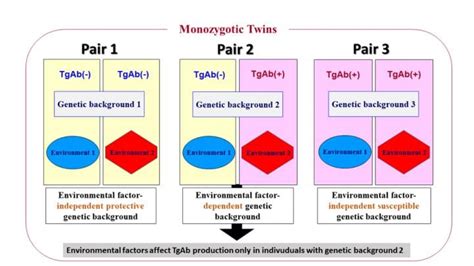 Exploring Epigenetic Differences In Identical Twins Disease