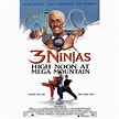 Welcome to the Film Review blogs: 3 Ninjas: High Noon at Mega Mountain