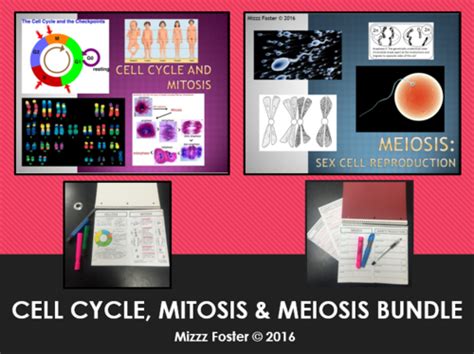Cell Cycle Mitosis And Meiosis Big Bundle 2 Ppt And 2 Graphic