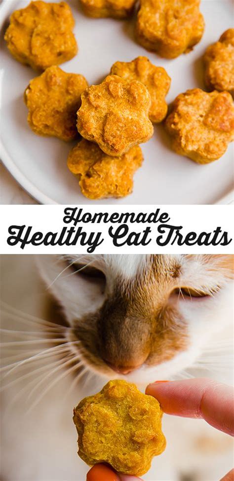Healthy Homemade Pumpkin Cat Treats Recipe Homemade Cat Treats