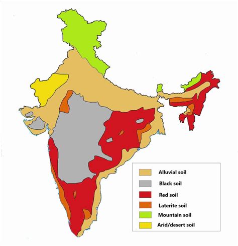 Types Of Soils In India Alluvial Soil Black Soil Red Soil Etc