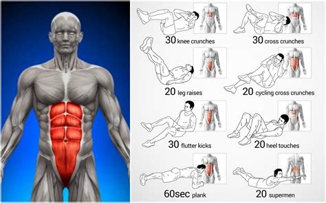17 6 Pack Abs Workout Routine Home Gymabsworkout