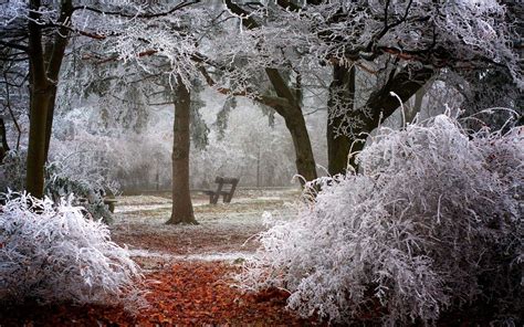 Frozen Nature Ultra Hd Wallpapers Wallpaper Cave