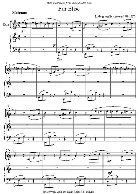 Beethoven Fur Elise Sheet Music For Flute Violin Pinterest