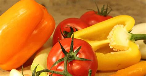 How To Control Common Tomato Pepper Eggplant And Potato Diseases
