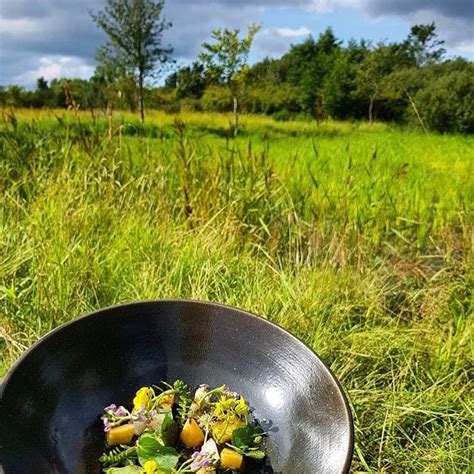 Copenhagen Welcomes You To Forage On Its City Streets Brightvibes