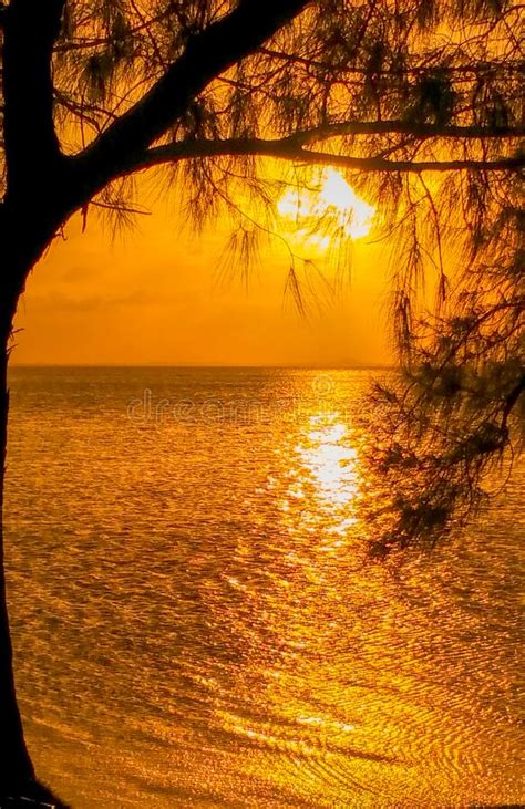 Idyllic Caribbean Sunset Stock Image Image Of Twilight 255736411