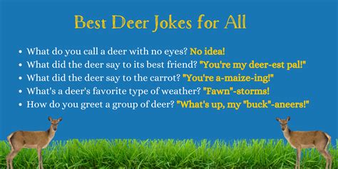 Funny Deer Jokes To Laugh Out Loud Everythingmom