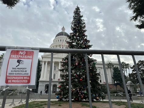 Gaza Protests Prompt California Governor To Hold Virtual Christmas Tree