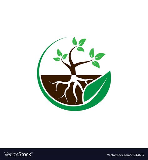 Plant With Root In A Circle Leaf Logo Design Vector Image
