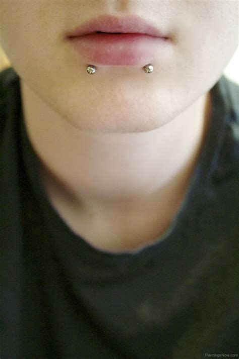 100 Snake Bites Piercing Ideas Jewelry And Information