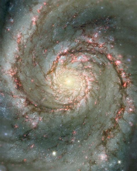 Cosmic Spiral Galaxy Stock Photo Free Download