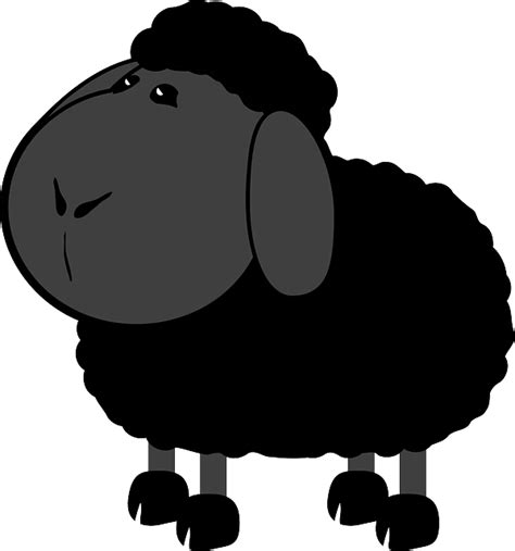 Black Sheep Png