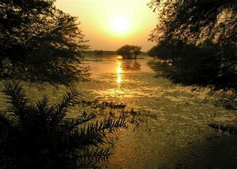 Bharatpur Keoladeo Ghana National Park Audley Travel Uk