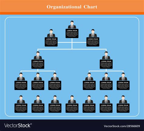 Organization Chart Info Graphics Design Royalty Free Vector