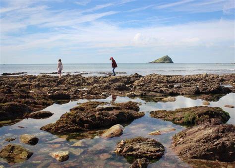 Top Beaches To Go Rockpooling In South Devon Visit South Devon