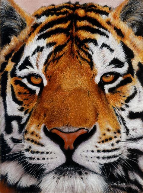 Nobility Amur Siberian Tiger Painting By John Palmer Fine Art America