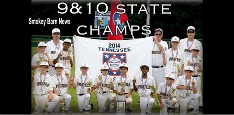 Springfield Dixie Youth Team Wins State Heads To World Series