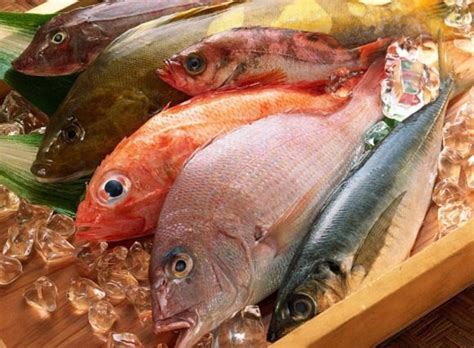 Why Does Freshwater Fish Taste Fishy 2022 Qaqookingwiki