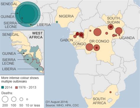 Ebola Basics What You Need To Know Bbc News