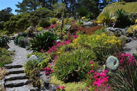 Best Xeriscape Plants 37 Xeriscaping Ideas Happy Diy Home