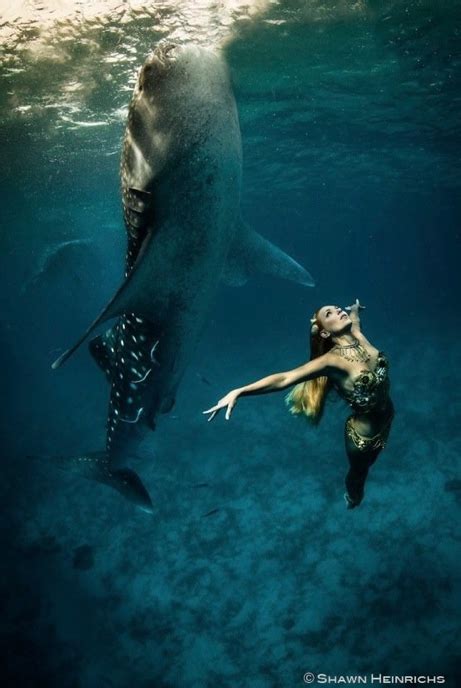Environmental Photographer Shawn Heinrichss Captivating Under Water