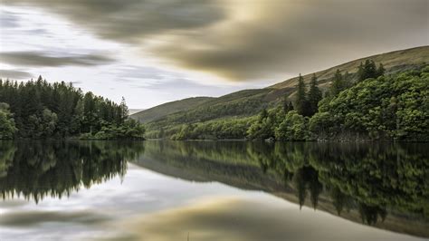 Forest Trees Reflection On Calm Body Of Water Under Cloudy