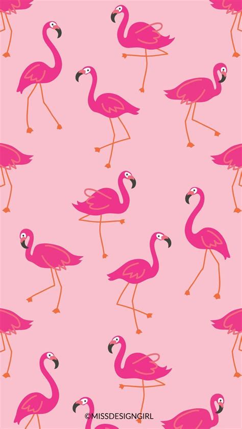 Flamingo Phone Wallpapers Top Free Flamingo Phone Backgrounds