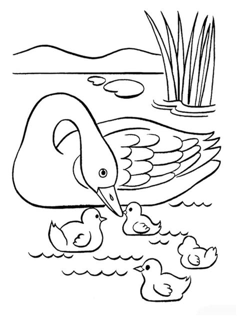 Swan is your direct link to ultimate sensual pleasure. Swan coloring pages. Download and print Swan coloring pages